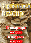 Зарабатывай вкусно! Выращивание грибов в квартире, на даче, в подвале, в кухне.